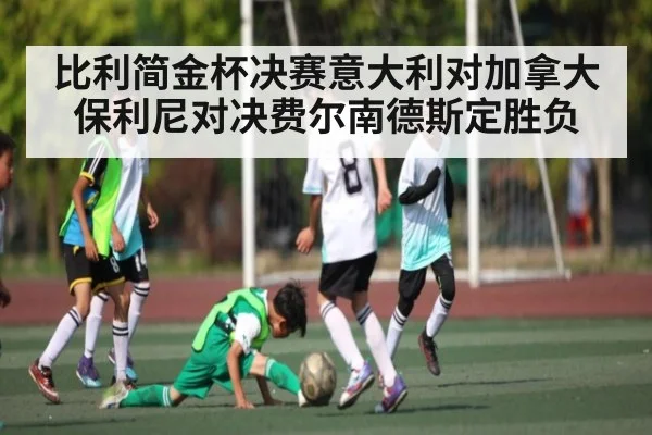 比利简金杯决赛意大利对加拿大保利尼对决费尔南德斯定胜负